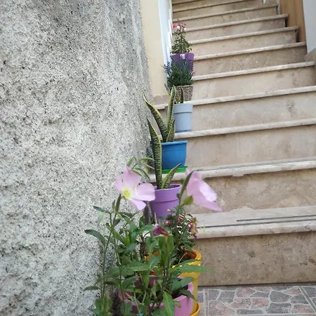Vasili Apartment
